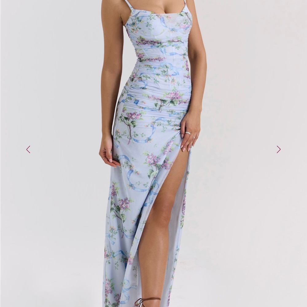 Lini Blue Floral Print Mesh Maxi Dress